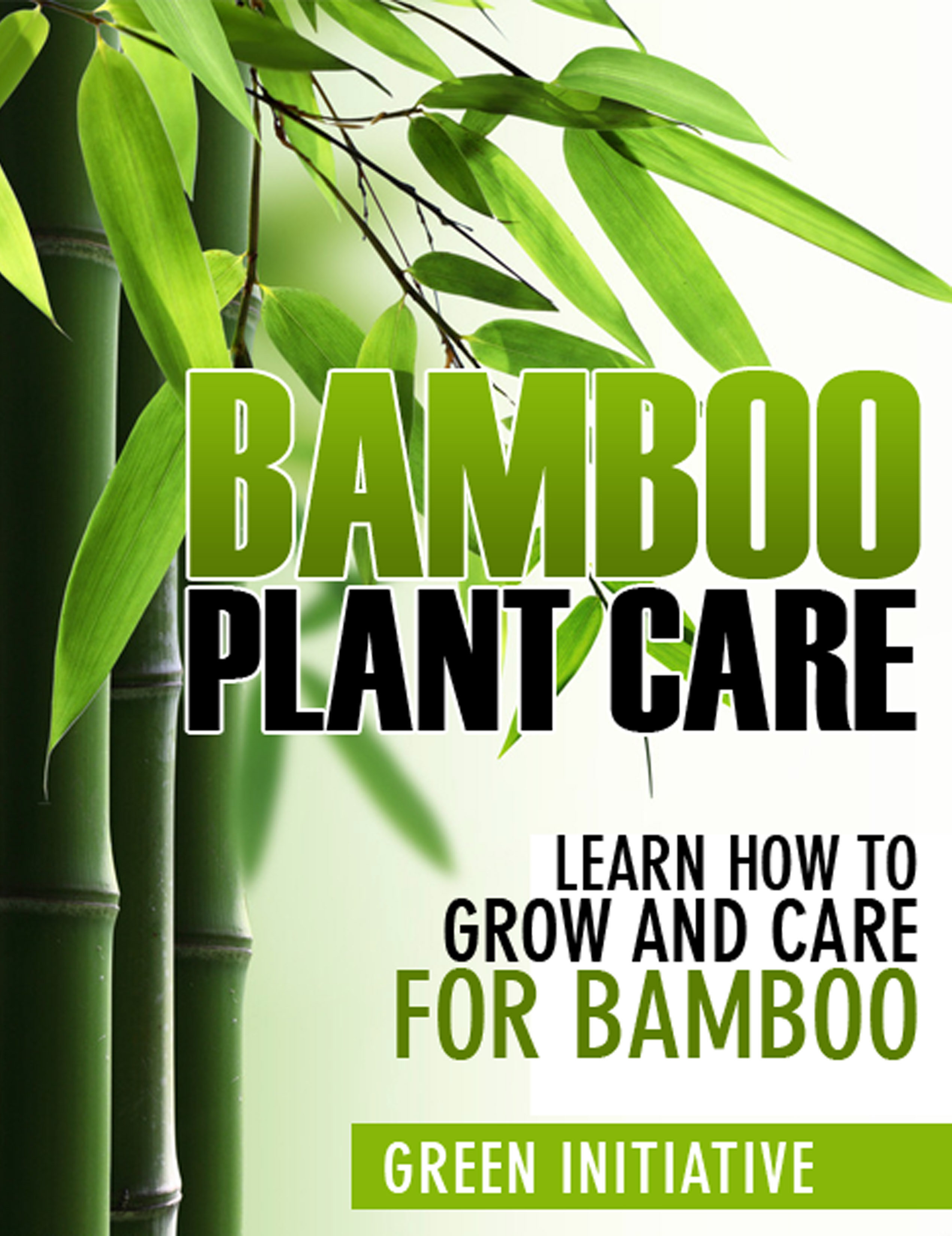 Smashwords Bamboo Plant Care How To Grow And Care For