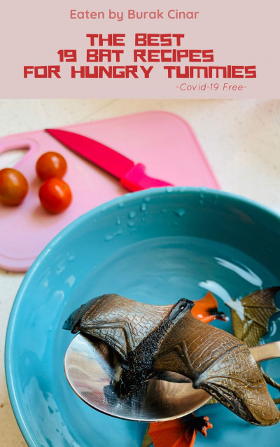 Smashwords – The Best 19 Bat Recipes for Hungry Tummies – a book by ...