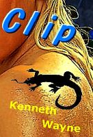 Cover for 'Clip'