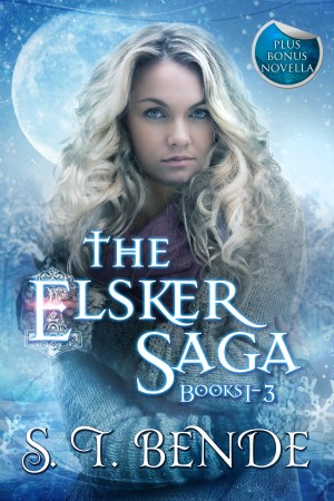 Shieldmaiden Squadron Series, YA Fantasy