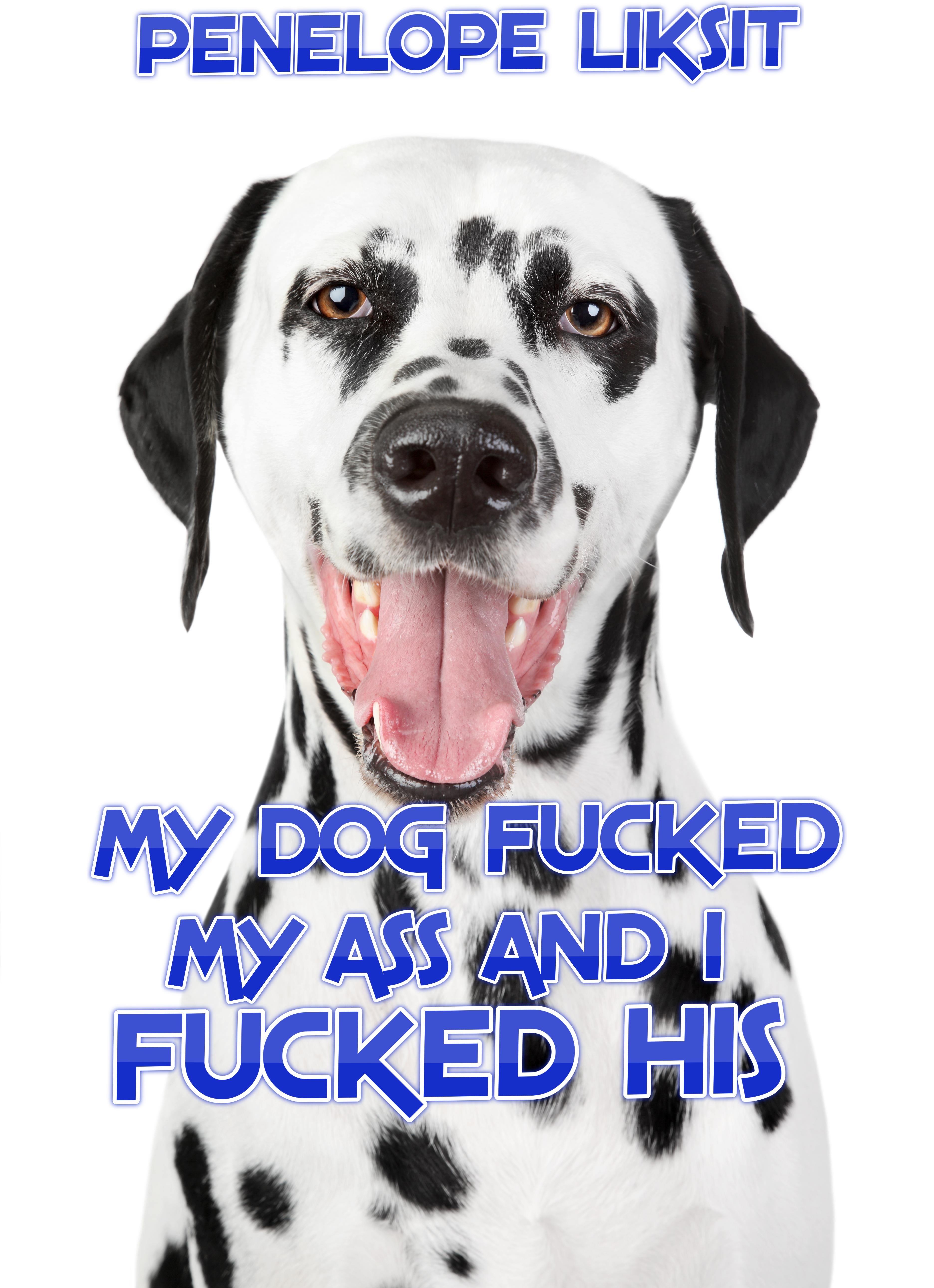 Dog Fucks Boy Stories