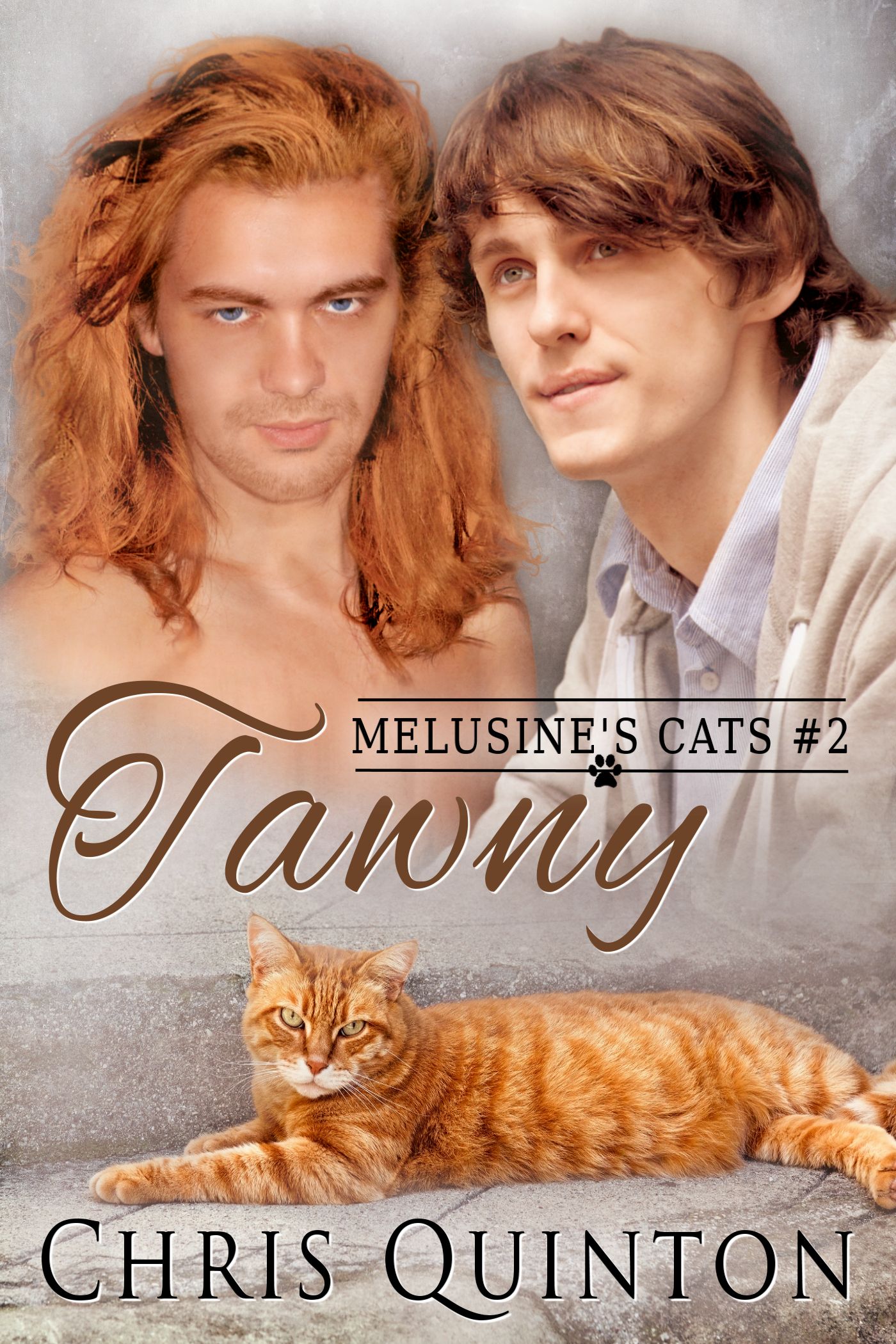 book cover for Tawny