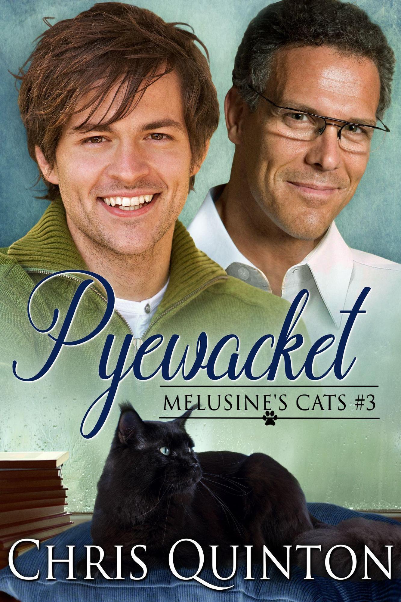 book cover for Pyewacket