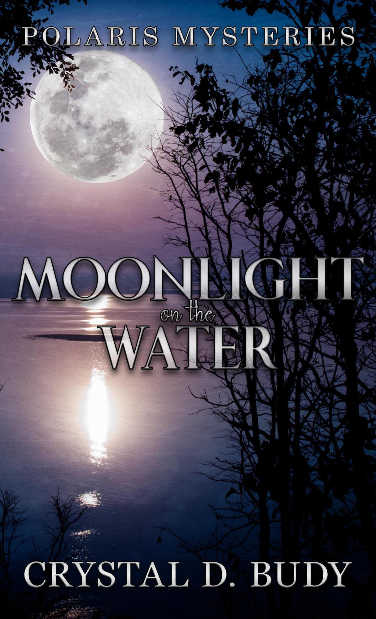 book cover for Moonlight on the Water
