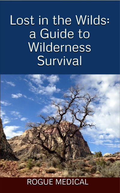 Smashwords – Lost in the Wilds: a Guide to Wilderness Survival – a book ...