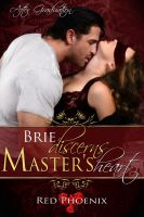 Cover for 'Brie Discerns Master's Heart (After Graduation, #6)'