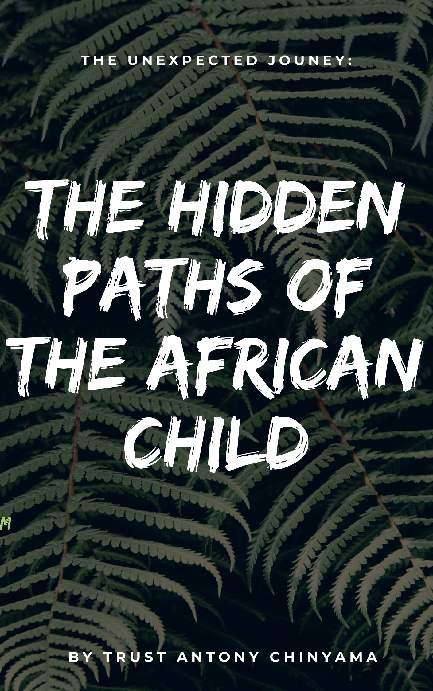 The Unexpected Journey The Hidden Paths Of An African Child An Ebook By Trust Antony Chinyama - 