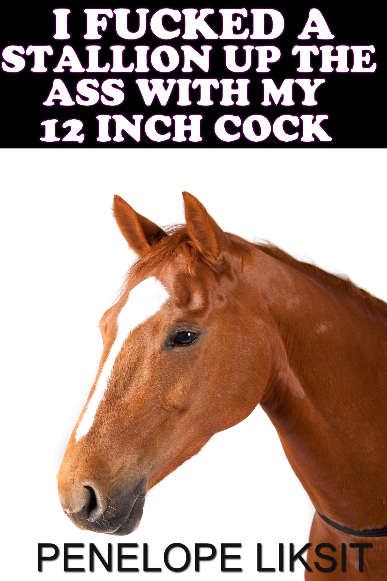 Horse Cock Story