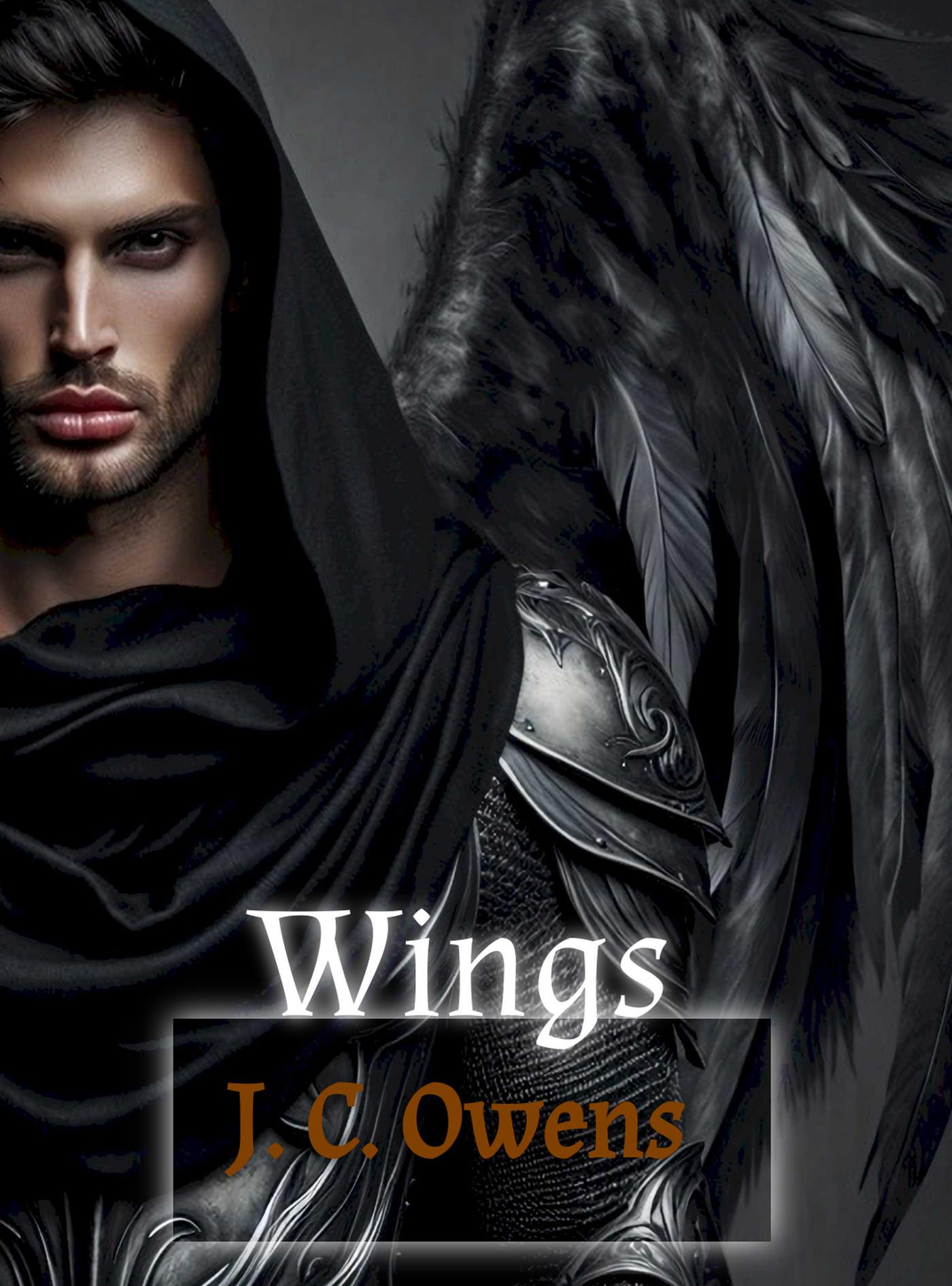 book cover for Wings