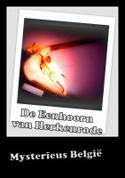 Cover for 'De Eenhoorn van Herkenrode'