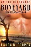 Cover for 'Boneyard Beach'