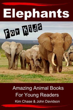 Smashwords – About Kim Chase, author of 'Tigers For Kids - Amazing