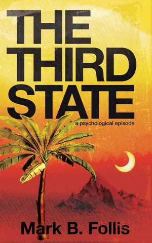 The Third State by Mark B. Follis