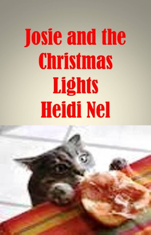 Josie and the Christmas Lights