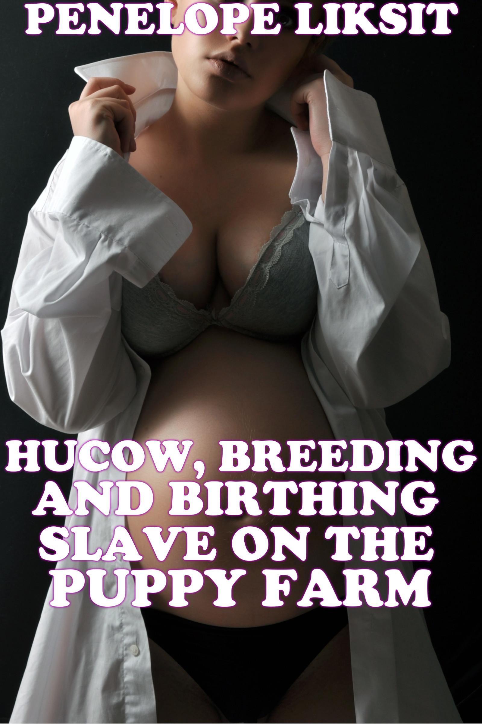 Hucow breed