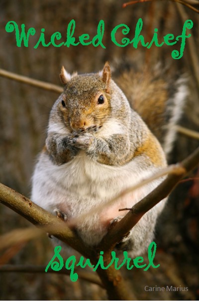 Smashwords – Wicked Chief Squirrel, a Short Story for 9 year old ...