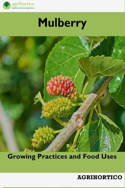 Smashwords – Mulberry: Growing Practices And Food Uses – A Book By ...