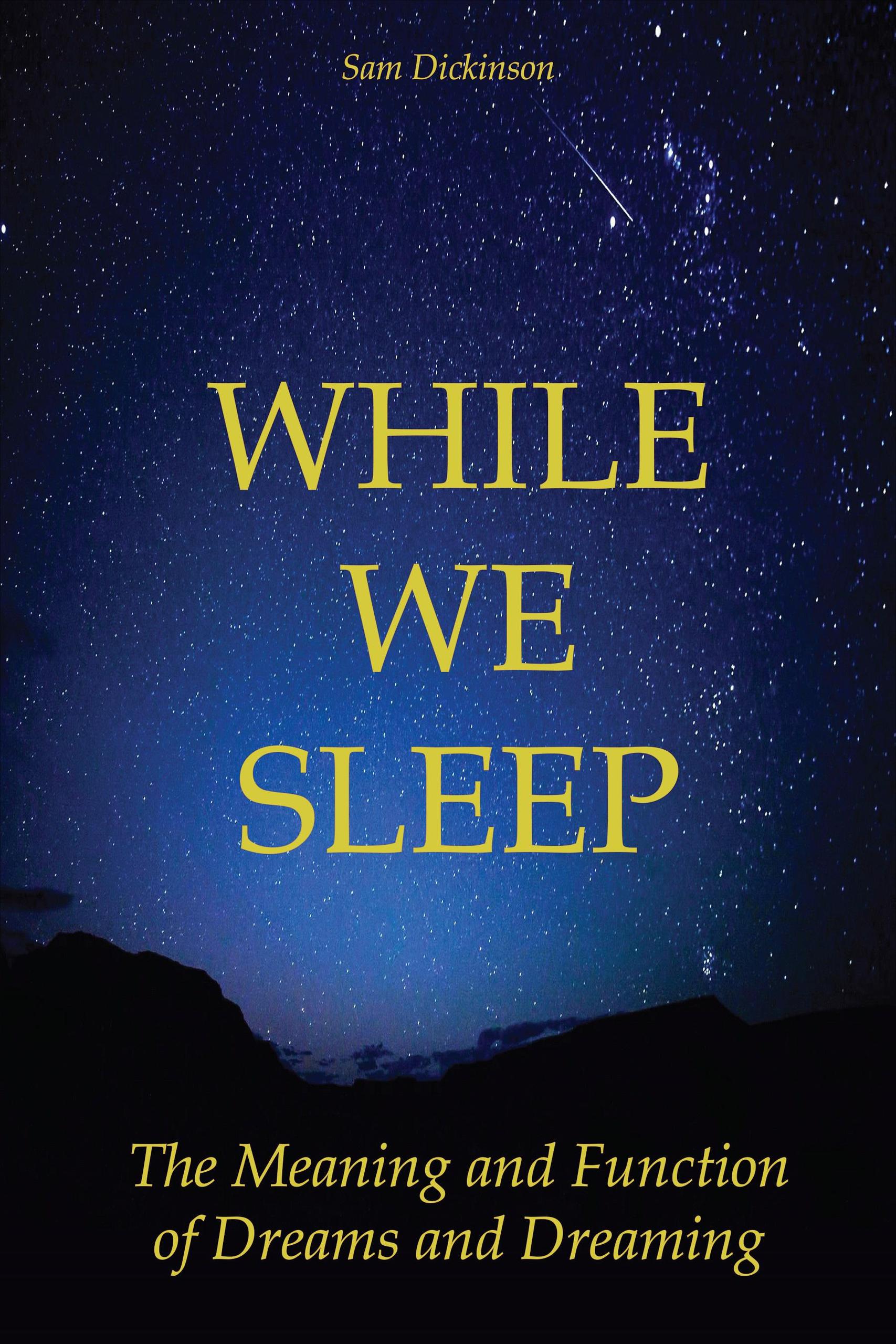 Smashwords while we sleep the meaning and function of dreams and
