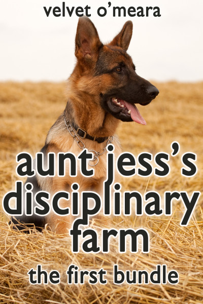 Smashwords Aunt Jesss Disciplinary Farm The First Bundle A Book