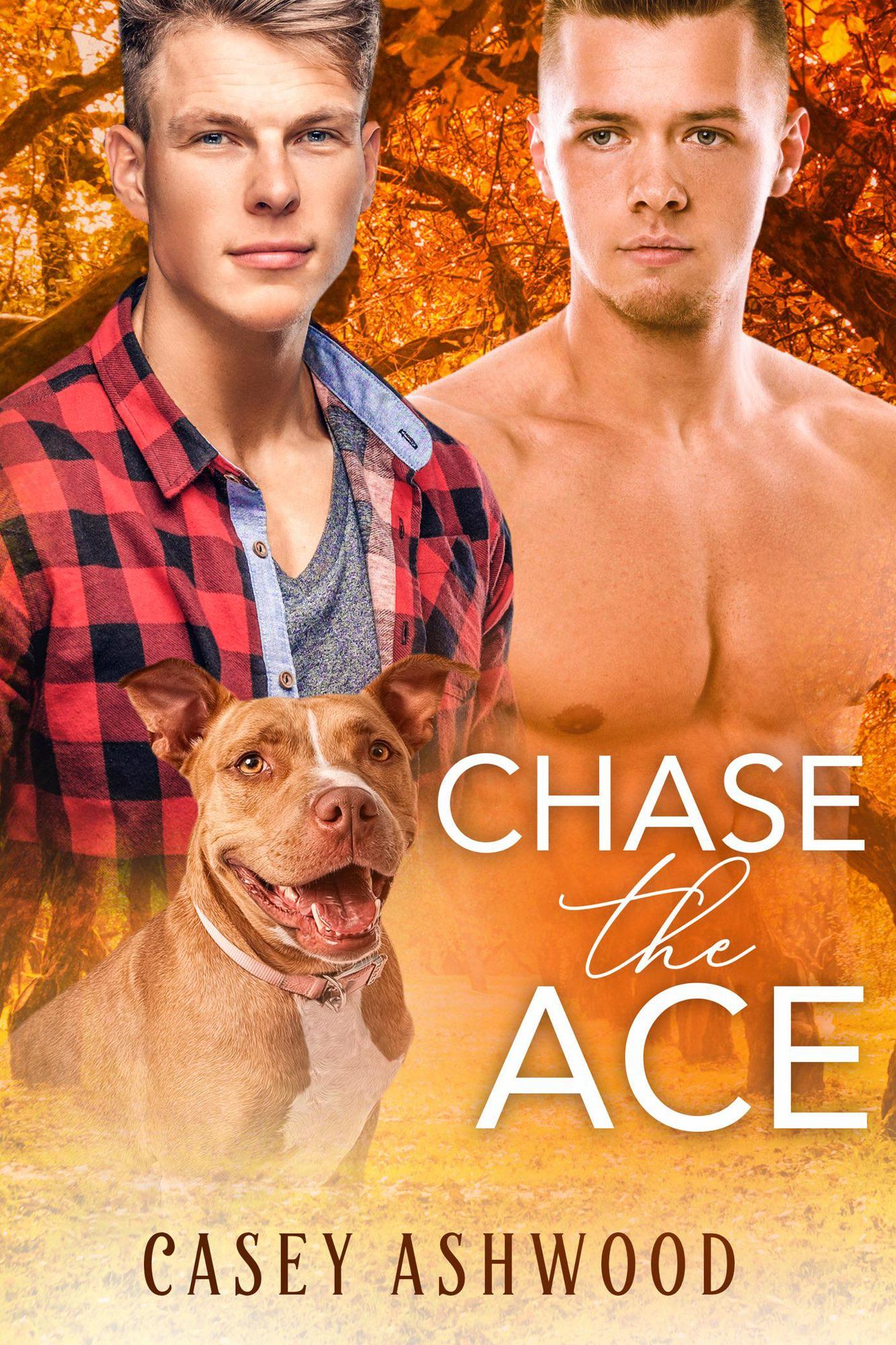 Smashwords Chase the Ace a book by Casey Ashwood