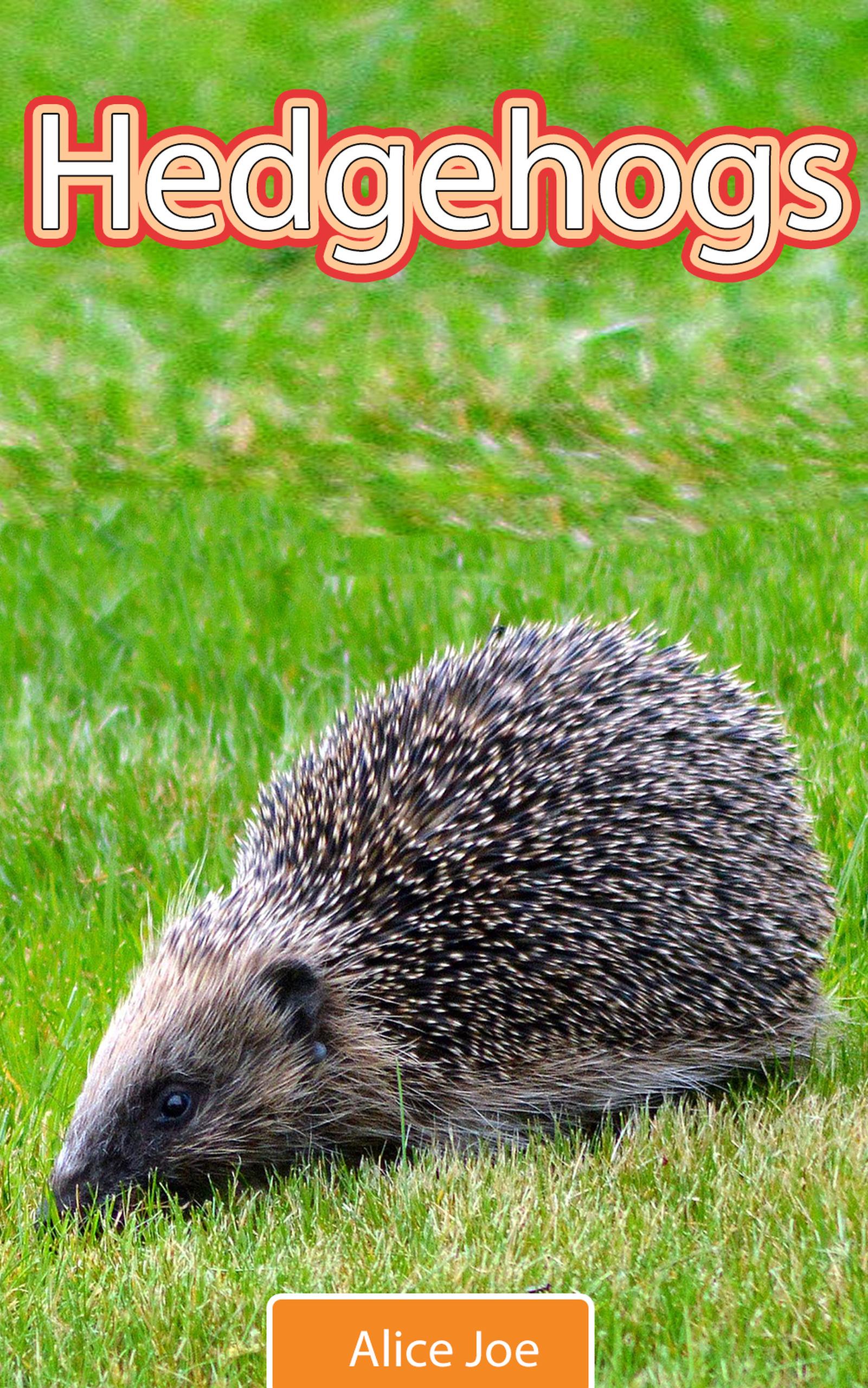 Smashwords – Hedgehogs – a book by Alice Joe