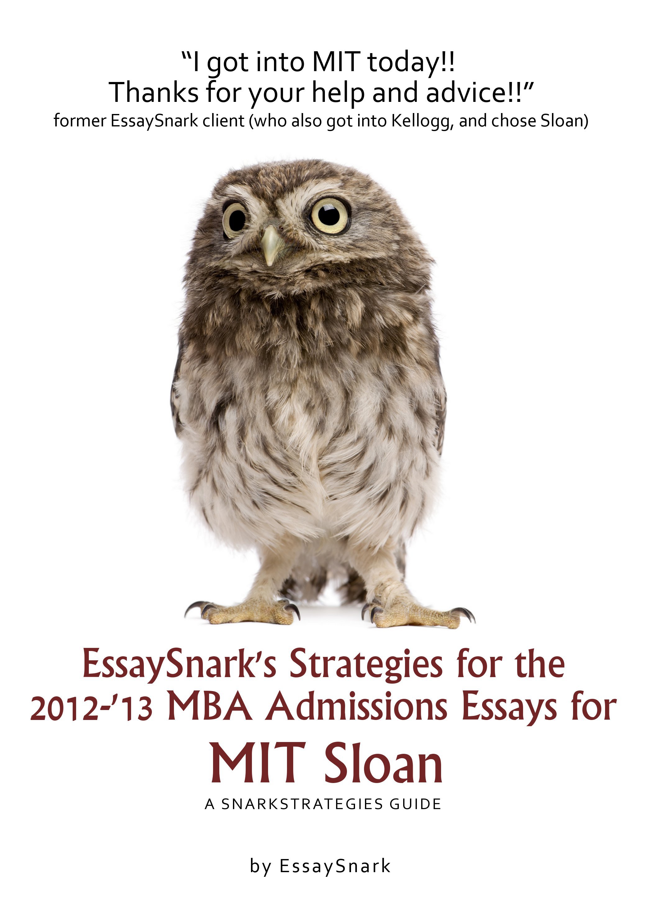 Mit sloan admissions essays